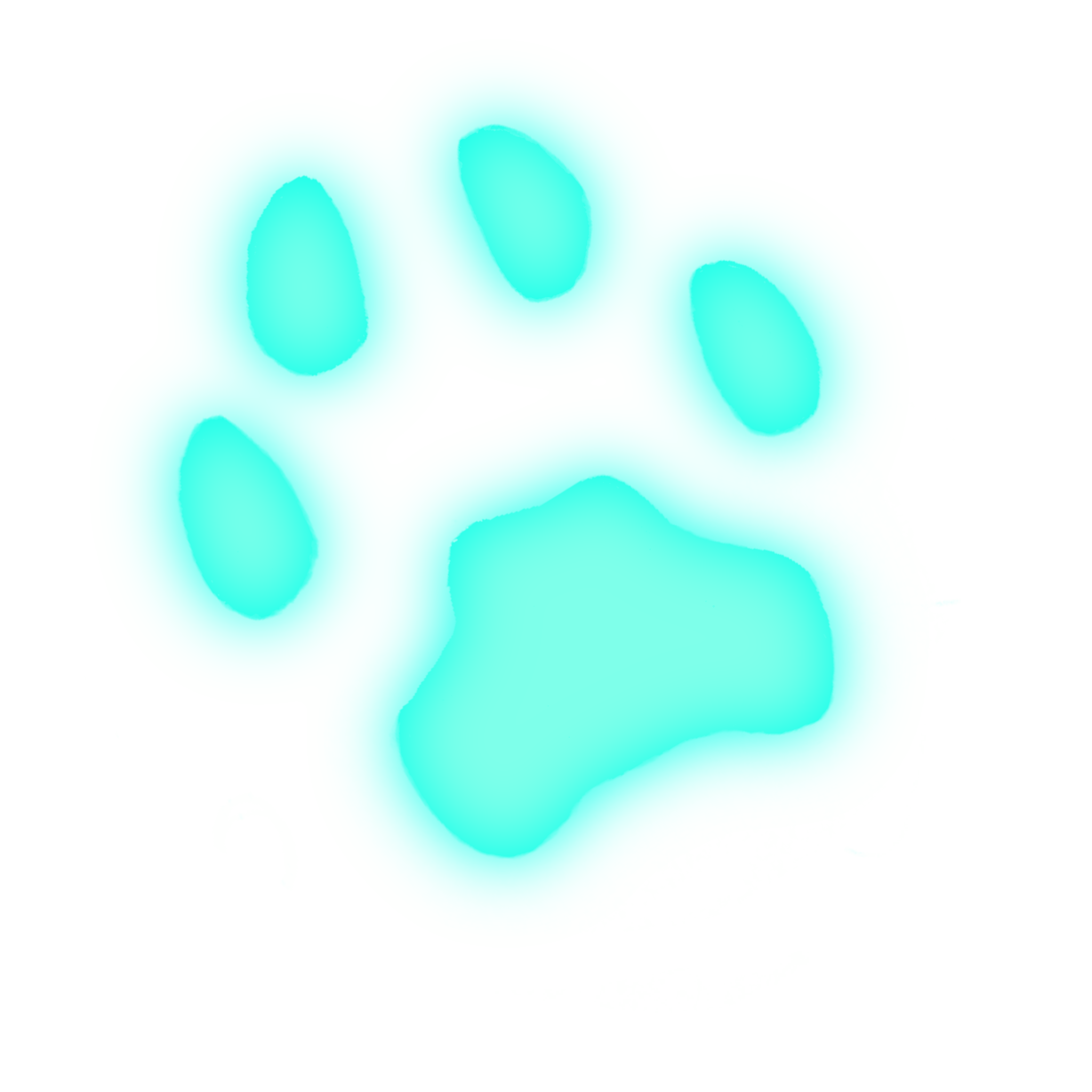 Catbyte